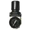 4150009 Allsource Pressure Regulator