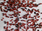 4273060 Unbranded Garnet Blasting Abrasive