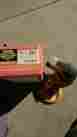 56819 Dynabrade Sander 5 Inch Supreme Radom Orbital Vac-ready