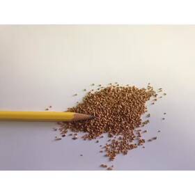 Agra Grit 445005476482 Walnut Shell Sandblasting Coarse 25 Lb. Per Box
