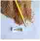 Bgm25 Agra Grit Walnut Shell Sandblasting Medium Sand Blaster Non-toxic Reusable Dust Free 855880004088