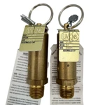 Apollo Valves RVA15 15-112 Air Relief Valve, 1/4 Npt, 125 Psig New. Fixed Price $16.99.