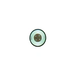 Hutchins Pad 8" Psa. Fixed Price $105.61.