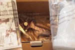 20 Ounce Hvlp Gravity Spray Gun Central Pneumatic New In Box 67181. Fixed Price $19.99.