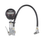 Steelman High Accuracy Digital Gauge Tire Inflator With Temperature And Press.... Fixed Price $168.77.