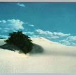 1964 Gypsum Dunes, White Sands National Monument, Nm Vintage Postcard Posted. Fixed Price $7.99.